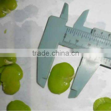 IQF Peeled broad beans