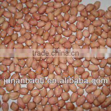 Peanut Kernels and Peanuts Kernel photo-2