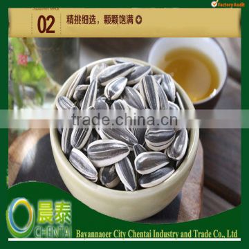 Export Factory Company China 909 Sunflower Seeds