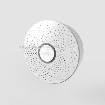 Airradio N1 natural gas alarm with wifi