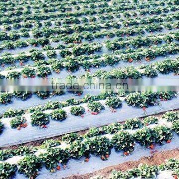 Hengxiang Hot Sale Agricultural Film Machinery