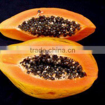 Papaya Fruit Microwave Vacuum Dryer photo-5