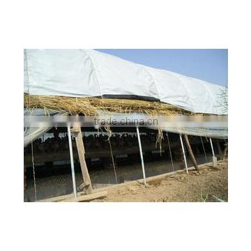 High quality black white Mulch Film