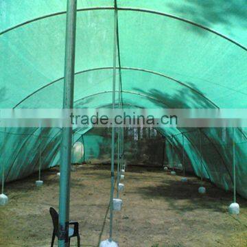 Greenhouse new HDPE vegetable green sun shade netting