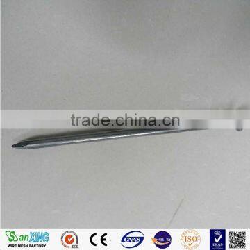 Common Nail From Iron Nail Making Machine Wire Nail photo-4