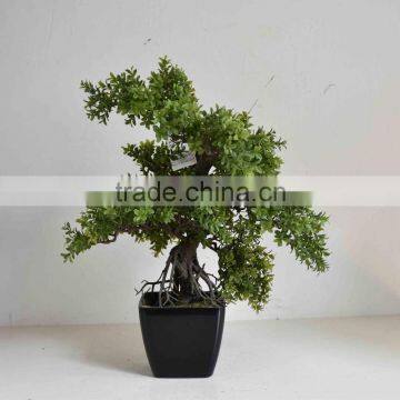 SJ0301125 Guangzhou Shengjie Artificial Plant Wholesale Cypress Bonsai Tree photo-2