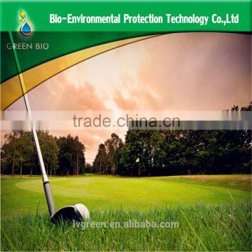 Golf Club Set Popular Golf Set photo-6