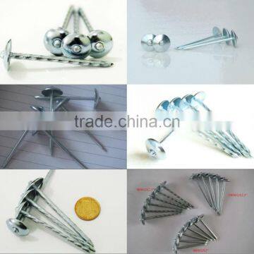 China Roofing Nails/roofing Nails Umbrella Head/roofing Nails Cheap Price