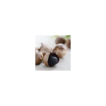 Fermentation Box Black Garlic Improves Lipids photo-2