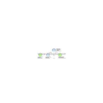 Software Development service
