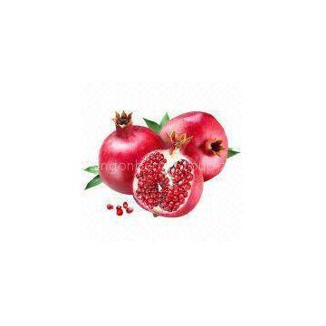 Pomegranate P.E