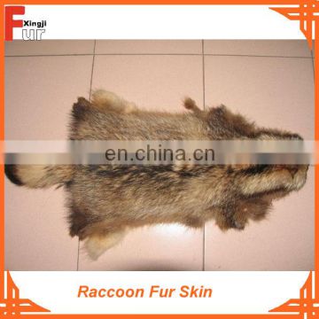 Fur Skin, Real Raccoon Fur