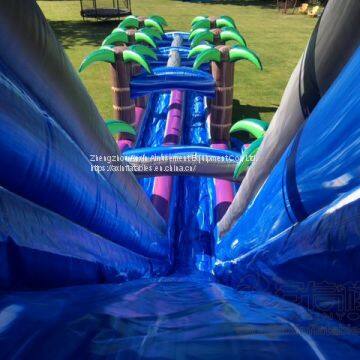 Inflatable Slip and Slide Inflatable Water Slide Axs-17 photo-2