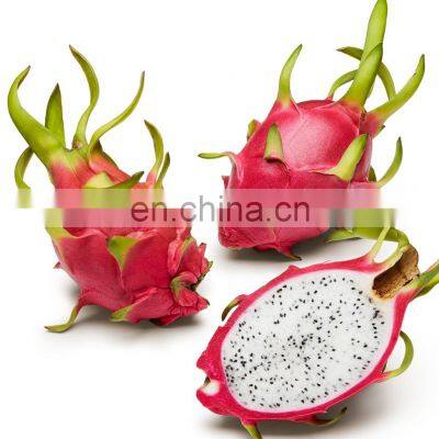 Good Quality Dragon Fruit Fresh With Best Pice Made In VIet Nam