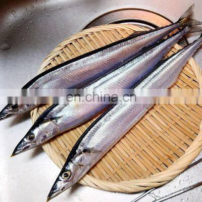 Frozen Pacific Saury for Bait