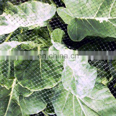 Plastic black 10gsm extruded anti bird net