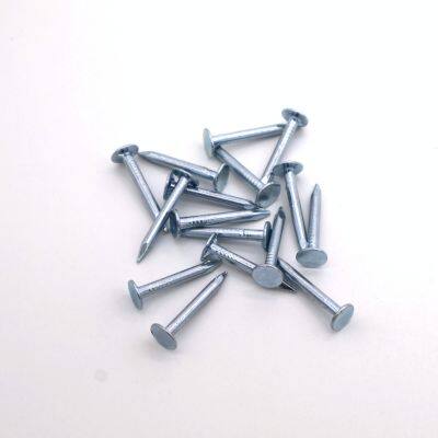 Customizable Roofing Clout Nails - Galvanized, 1kg or 25kg, Made in China photo-4