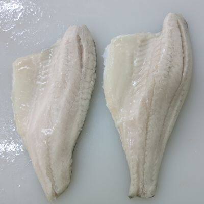 Sea Bass Fillet photo-4