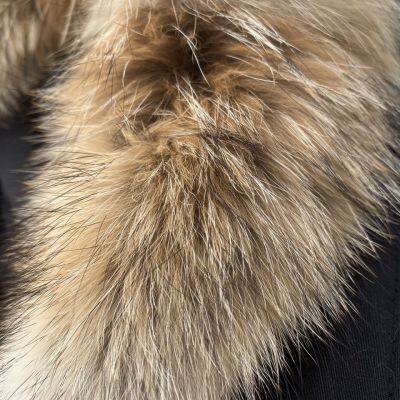 Garment Fur Collar