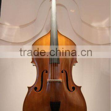 5 string advanced violin double bass