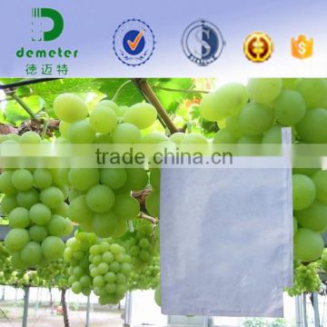 2016 Promotion Price Hot Sale Peru Size Customizable Fruit Growing Grape Protection Paper Bag