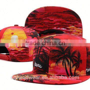 Custom snapback hats wholesale/snapback cap/winter snapback hat