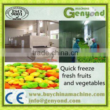 Vegetable & Fruit&Seafood IQF Tunnel Quick Freezer
