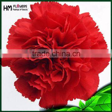 Factory Direct Artificial Flowers Artificial Carnation