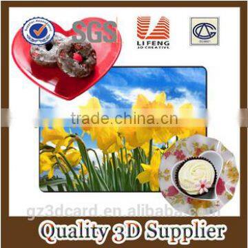 2015 Plastic Custom 3D Effect Pictures Dinning Table Mat for Wholesale photo-5