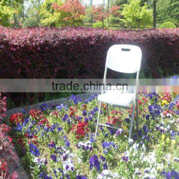 Plasic Outdoor Folding Chairs Wholesale in Garden Chair