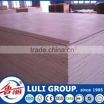 Good 19mm Plywood Prices photo-6
