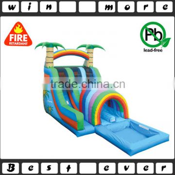 Double inflatable water slide for adult giant inflatable slide for sale                        
                                                                                Supplier's Choice