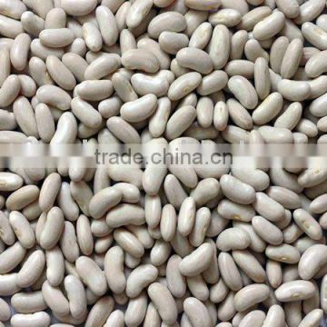 Baishake White Kidney Beans