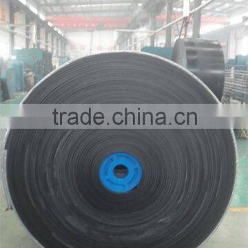 COMMON CONVEYOR BELT