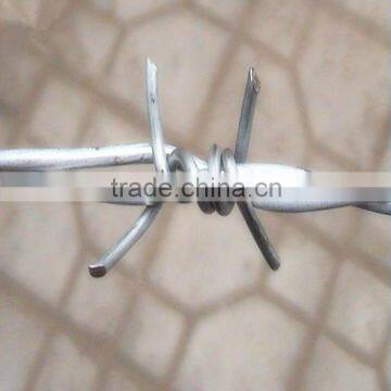 pvc zinc coated TUV certificated 1.6mm x 1.6mm Electro Galvanized Barbed Wires                        
                                                Quality Choice