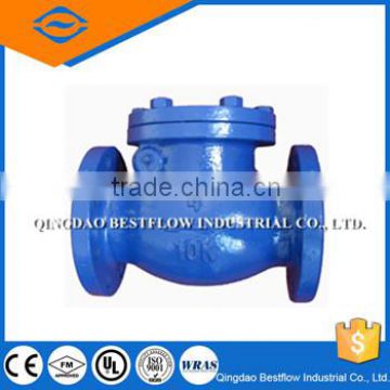 Din flange end swing check valve