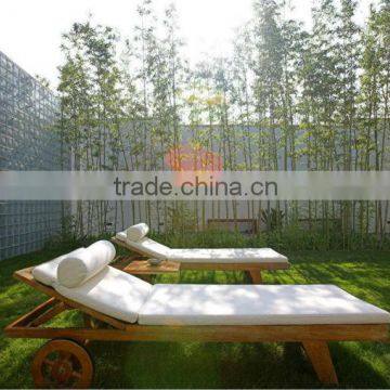 look for comfortable place likes in nature artificial grass to have a rest