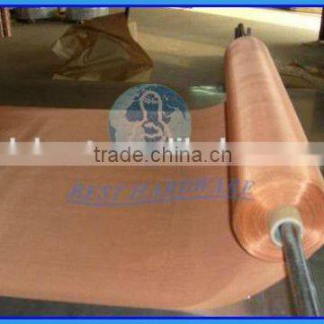 Hot Sale Galvanized Iron Wire Window Screen and Neting photo-5