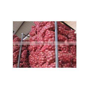 Low Price Fresh Yellow and Red Onion photo-2