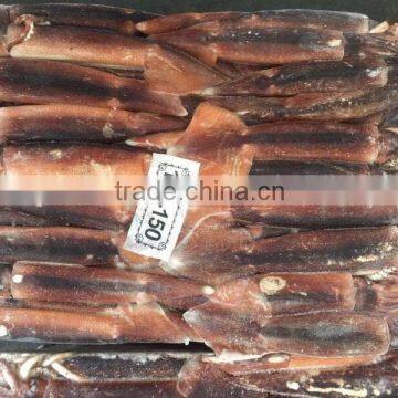 2016 New Frozen Illex Squid 100-150g for sale