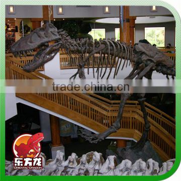 Life-size animatronic dinosaur fossil skeleton for museum