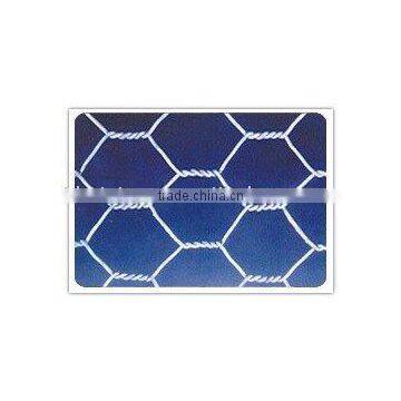 hexagonal wire mesh