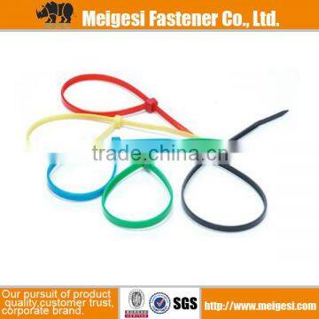Supply All Kinds of Sizes Plastic Nylon Colored Pvc Cable Ties photo-3