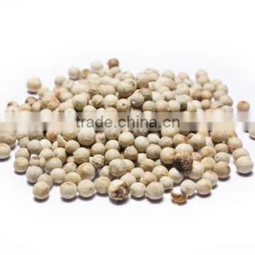 Double washed White Pepper 630G/L Good Quality( website: hanfimex08)