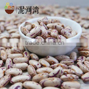 Light Speckled Kidney beans (LSKB) Pinto beans/Sugar beans 2016 crop