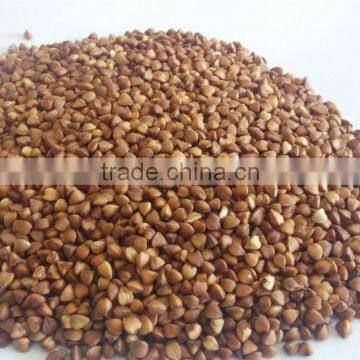 2016 Crop ---Roasted Buckwheat Kernels photo-2