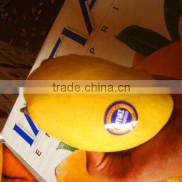 Mango from Pakistan