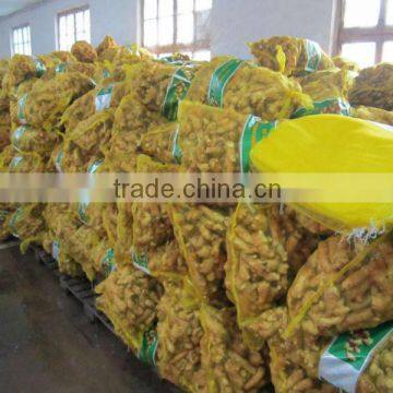 Fresh Ginger,Dry Ginger,Air Dry Ginger,Ginger fresh price