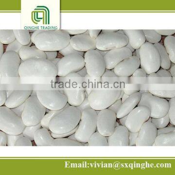 bulk beans, white kidney beans, kidney beans price