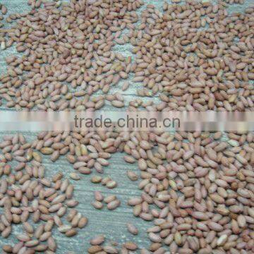GROUNDNUT KERNELS